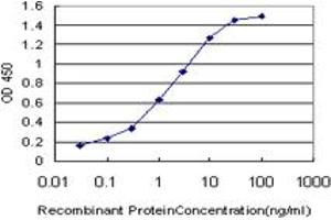 Detection limit for recombinant GST tagged SIM2 is approximately 0. (SIM2 antibody  (AA 426-526))
