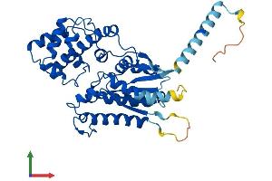 AlphaFold protein structure predicition of Mouse Recombinant Gna15 Protein, UniprotID P30678 (GNA15 Protein (AA 1-374) (His tag))