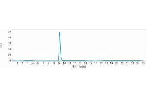 The purity of Anti-FGFR3 / CD333 Reference Antibody (LY3076226) is more than 95 % , determined by SEC-HPLC. (Recombinant FGFR3 antibody)
