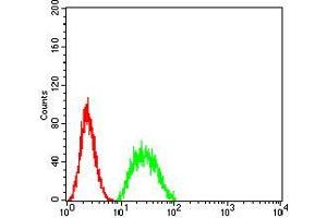 Flow Cytometry (FACS) image for anti-Bridging Integrator 1 (BIN1) (AA 189-398) antibody (ABIN5542281)