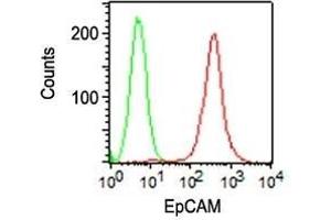 Flow Cytometric analysis of human Ep-CAM on HT29 cells. (EpCAM antibody  (PE))
