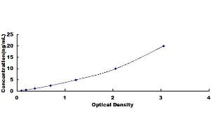 Typical standard curve (CRYL1 ELISA Kit)