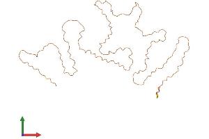 AlphaFold protein structure predicition of Human Recombinant KRTAP10-5 Protein, UniprotID P60370