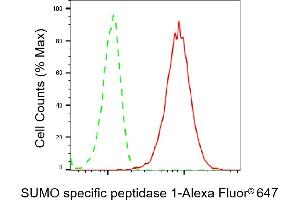 Flow cytometric analysis of SUMO specific peptidase 1 expression in HepG2 cells using SUMO specific peptidase 1 antibody (ABIN7800975), 1:2,000).