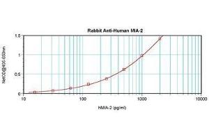 Image no. 5 for anti-Melanoma Inhibitory Activity Protein 2 (MIA2) antibody (ABIN464847) (MIA2 antibody)