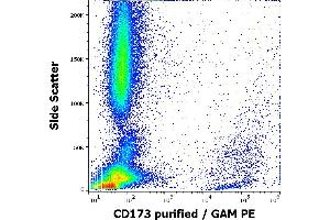 Flow cytometry surface staining pattern of human peripheral whole blood stained using anti-human CD173 (MEM-195) purified antibody (concentration in sample 5 μg/mL, GAM PE). (CD173 antibody)