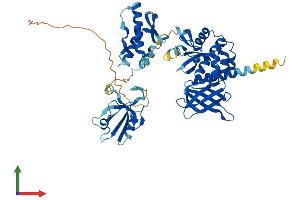 AlphaFold protein structure predicition of Mouse Recombinant Snx27 Protein, UniprotID Q3UHD6 (SNX27 Protein (AA 1-539) (His tag))