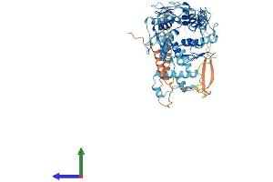 AlphaFold protein structure predicition of Human Recombinant ZNF568 Protein, UniprotID Q3ZCX4