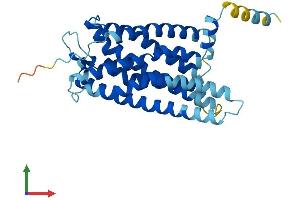 AlphaFold protein structure predicition of Human Recombinant GPR171 Protein, UniprotID O14626 (GPR171 Protein (AA 1-319) (His tag))