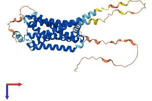 Protein Structure (PS) image for Adrenergic, beta-3-, Receptor (ADRB3) (AA 1-408) protein (His tag) (ABIN7551985)