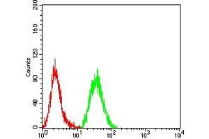 Flow Cytometry (FACS) image for anti-WD Repeat and FYVE Domain Containing 3 (WDFY3) (AA 3277-3526) antibody (ABIN7193433)