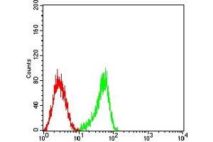 Flow Cytometry (FACS) image for anti-CD53 (CD53) antibody (ABIN7193233)