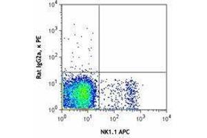 Flow Cytometry (FACS) image for anti-CD160 (CD160) antibody (PE) (ABIN2662468) (CD160 antibody  (PE))