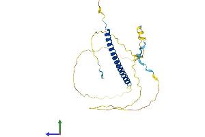 AlphaFold protein structure predicition of Human Recombinant INO80E Protein, UniprotID Q8NBZ0