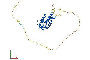 AlphaFold protein structure predicition of Mouse Recombinant Edaradd Protein, UniprotID Q8VHX2