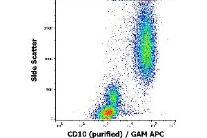 Flow cytometry surface staining pattern of human peripheral whole blood stained using anti-human CD10 (MEM-78) purified antibody (concentration in sample 1 μg/mL, GAM APC). (MME antibody)