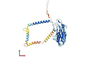 AlphaFold protein structure predicition of Mouse Recombinant Atp1b4 Protein, UniprotID Q99ME6