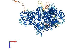 JAK3 Protein (AA 1-1100) (His tag)