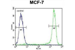 KSR2 Antibody (C-term) flow cytometric analysis of MCF-7 cells (right histogram) compared to a negative control cell (left histogram).