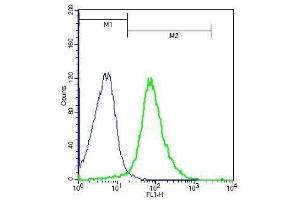 Mouse splenocytes probed with Rabbit Anti-ADAM8 Polyclonal Antibody, Unconjugated . (ADAM8 antibody  (AA 51-150))