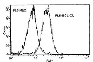 Flow Cytometry (FACS) image for anti-BCL2-Like 1 (BCL2L1) antibody (ABIN371611)