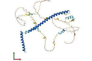AlphaFold protein structure predicition of Mouse Recombinant Ska3 Protein, UniprotID Q8C263