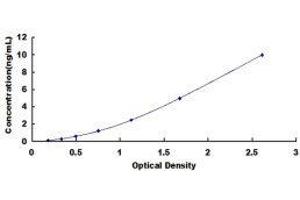 Chemokine (C-X-C Motif) Ligand 17 (CXCL17) ELISA Kit