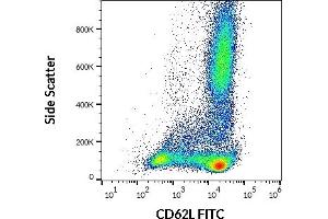 Flow cytometry surface staining pattern of human peripheral whole blood stained using anti-human CD62L (DREG56) FITC antibody (20 μL reagent / 100 μL of peripheral whole blood). (L-Selectin antibody  (FITC))