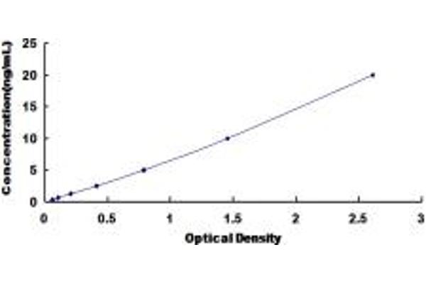 CUL9 ELISA Kit