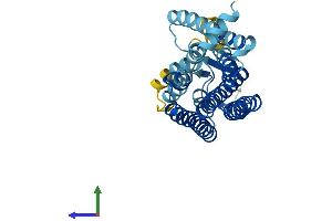AlphaFold protein structure predicition of Human Recombinant OR5M11 Protein, UniprotID Q96RB7 (OR5M11 Protein (AA 1-305) (His tag))