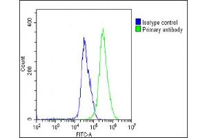 Overlay histogram showing U-251 MG cells stained with (ABIN655298 and ABIN2844885)(green line). (AP1M1 antibody  (AA 205-234))