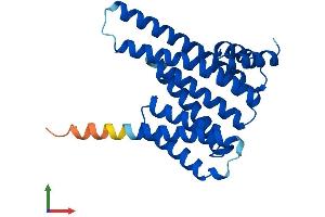 AlphaFold protein structure predicition of Human Recombinant YWHAQ Protein, UniprotID P27348 (14-3-3 theta Protein (YWHAQ) (AA 1-245) (His tag))