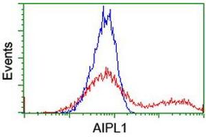 HEK293T cells transfected with either RC204079 overexpress plasmid (Red) or empty vector control plasmid (Blue) were immunostained by anti-AIPL1 antibody (ABIN2455132), and then analyzed by flow cytometry. (AIPL1 antibody)