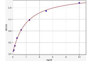 Typical standard curve (Cofilin ELISA Kit)
