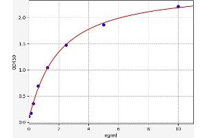 Cofilin ELISA Kit