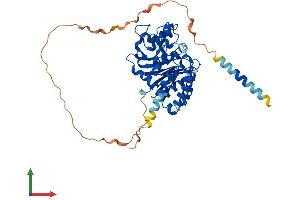 AlphaFold protein structure predicition of Mouse Recombinant Gxylt2 Protein, UniprotID Q810K9