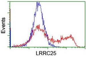 HEK293T cells transfected with either RC209911 overexpress plasmid (Red) or empty vector control plasmid (Blue) were immunostained by anti-LRRC25 antibody (ABIN2455899), and then analyzed by flow cytometry. (LRRC25 antibody)
