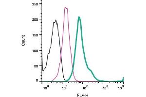 Cell surface detection of TRPV1 by direct flow cytometry in live intact human  monocytic leukemia cells: + Rabbit IgG Isotype control-APC (ABIN7582043).