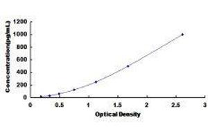 ELISA image for Slow Skeletal Troponin T (TNNT1) ELISA Kit (ABIN433507) (TNNT1 ELISA Kit)