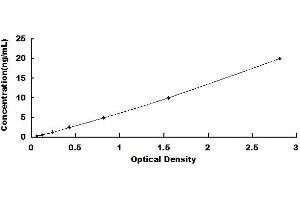 Typical standard curve (CCDC3 ELISA Kit)