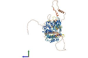 AlphaFold protein structure predicition of Mouse Recombinant Rps6ka5 Protein, UniprotID Q8C050 (MSK1 Protein (AA 1-863) (His tag))