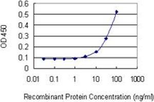 Detection limit for recombinant GST tagged DDAH1 is 3 ng/ml as a capture antibody. (DDAH1 antibody  (AA 181-285))