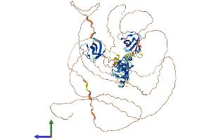 Protein Structure (PS) image for SH3 Domain Containing Ring Finger 2 (SH3RF2) (AA 1-729) protein (His tag) (ABIN7546168)