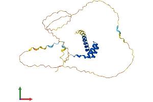 AlphaFold protein structure predicition of Mouse Recombinant Hoxa5 Protein, UniprotID P09021
