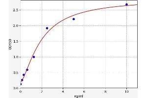 PTH1R ELISA Kit