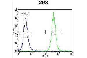 CC85C Antibody (N-term) flow cytometric analysis of 293 cells (right histogram) compared to a negative control cell (left histogram). (CCDC85C antibody  (N-Term))