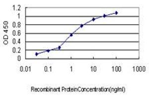 ELISA image for anti-3'(2'), 5'-Bisphosphate Nucleotidase 1 (BPNT1) (AA 1-101) antibody (ABIN599133) (BPNT1 antibody  (AA 1-101))