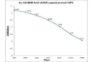 Antigen: 0. (AAV VP1 antibody)