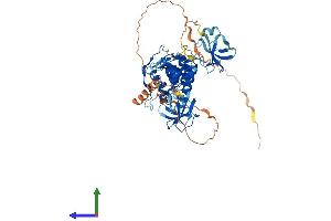 AlphaFold protein structure predicition of Mouse Recombinant Clip3 Protein, UniprotID B9EHT4 (CLIP3 Protein (AA 1-547) (His tag))