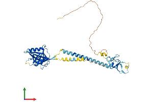 AlphaFold protein structure predicition of Human Recombinant RNF133 Protein, UniprotID Q8WVZ7